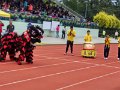2016.01.19 屯門區展能運動會2015 (25)
